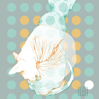 cat pencil digital alisa duda