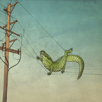 crocodile from the dream i had pencil digital alisa duda