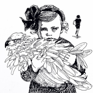 y o 22 inktober armadillo (9)