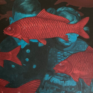 photo dec 30 2023, 11 49 40 am