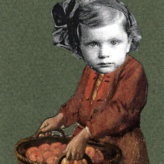 y&o collage 10. fruit