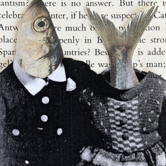 y&o collage 28. fish