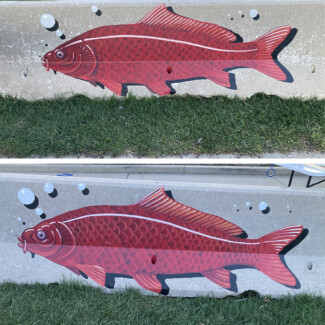 jersey barriers elgin 2025 fish